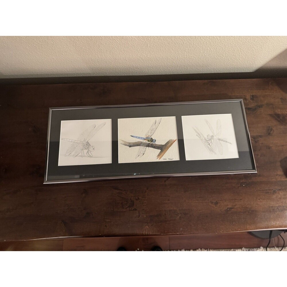 Blue Dasher Dragonfly Original Art by Terry Peasley - 3 Panels Framed Artwork